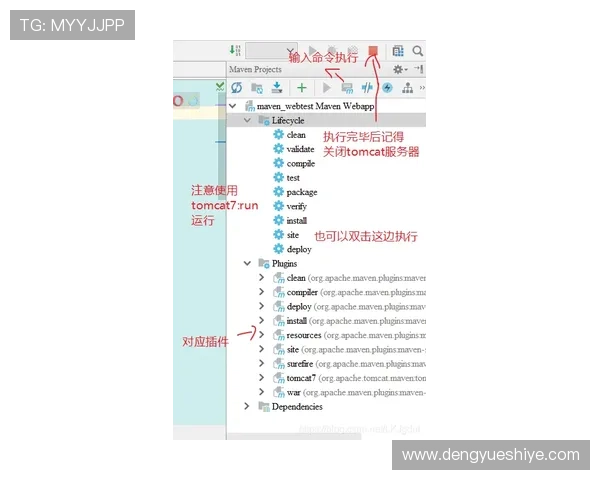单挑牛牛：分析不同牌型组合的概率与实战应用技巧