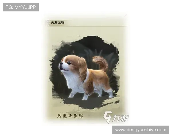 凯发网站支付方式多样化满足不同玩家的充值需求