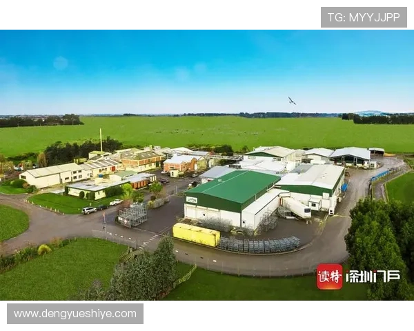 凯发手机网址积极响应国家政策，推动绿色健康博彩环境建设取得显著成效