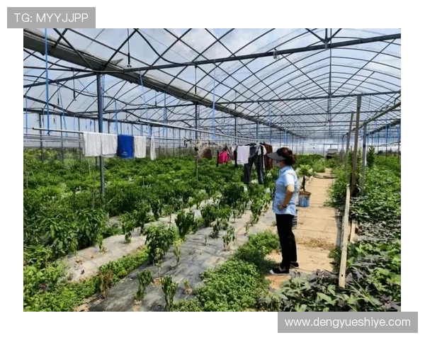 凯发体育注册中心官网首页强调安全可靠的资金保障体系确保用户资金安全